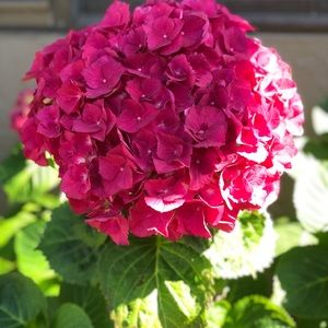 Meet your Posher, Ginny